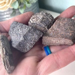 🦴 Dinosaur Bones Fossils 120g Total 4 pieces dino